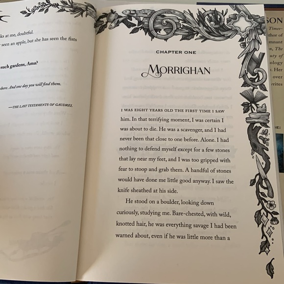 Hardcover Book Morrighan the beggings of the remnant universe by Mary E Pearson - Picture 6 of 16